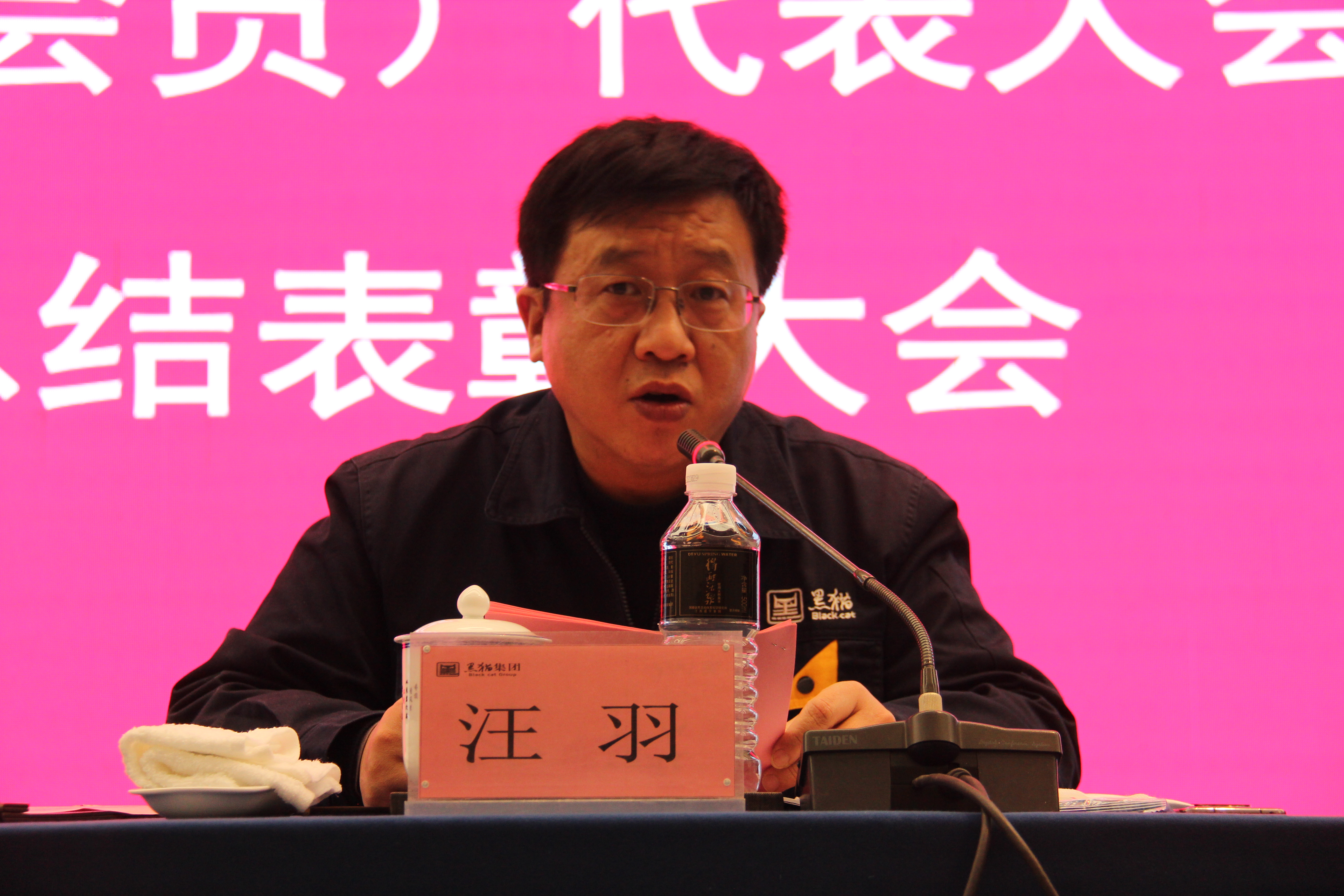 黑貓集團(tuán)黨委副書記、總經(jīng)理汪羽發(fā)言 (2).JPG